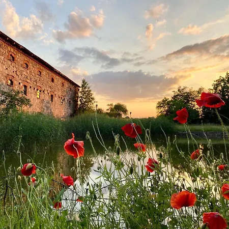 Coconat-a Workation Retreat & Coworking Hagelberg