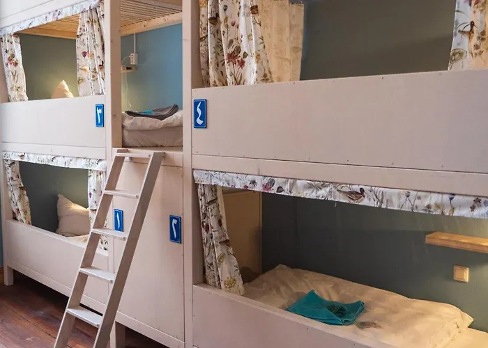 Coconat-a Workation Retreat & Coworking *